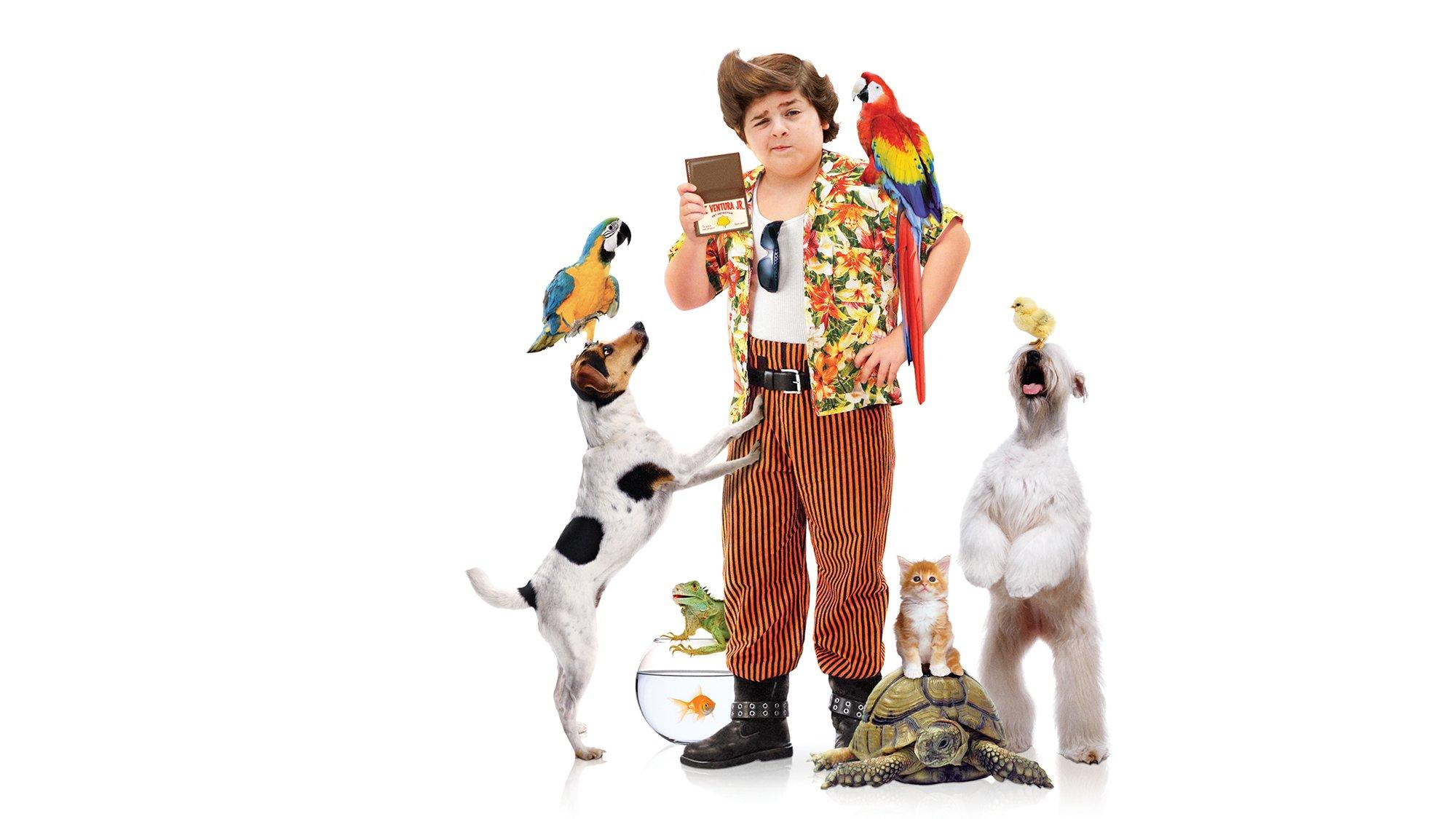 Ace ventura pet detective 2K backgrounds