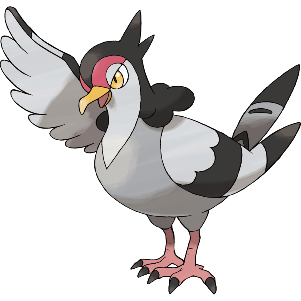 Pictures Tranquill Pokemon,