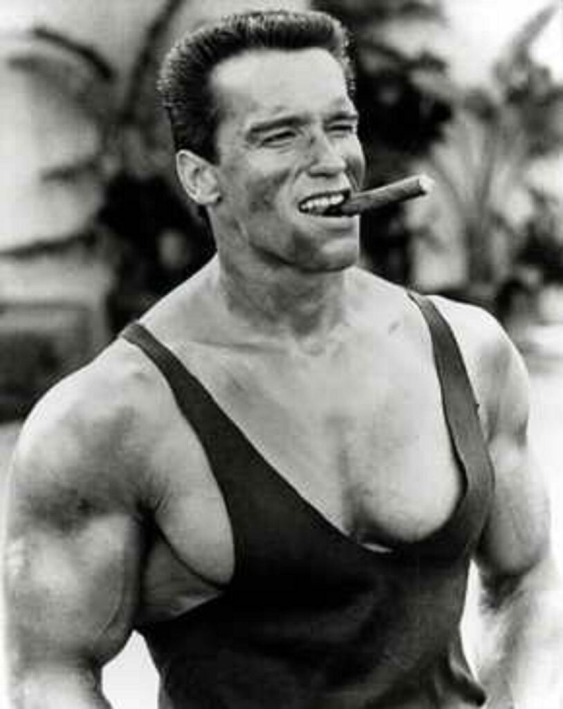 Arnold Schwarzenegger 2K Desk 4K Wallpapers