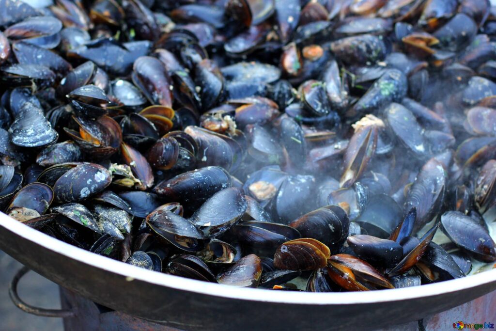 Seafood mussels fried trade №