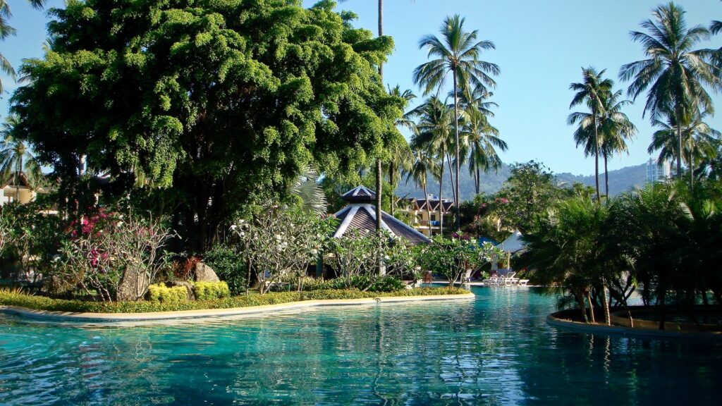 Download wallpapers park, phuket, thailand, pool, palms