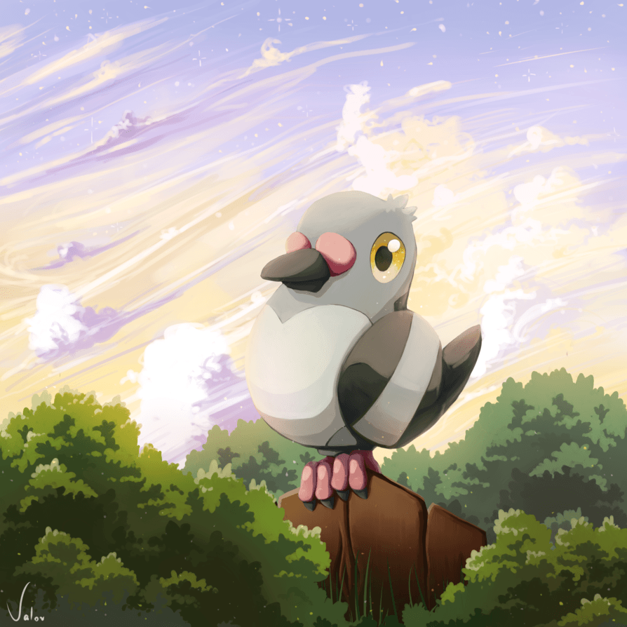 Pokemon Pidove by jkzpl