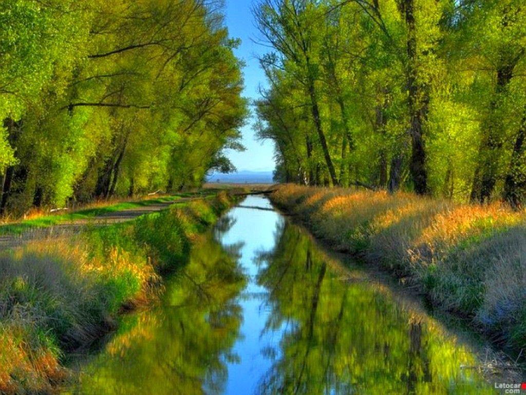 BB Color wallpapers Little Stream Cool Trees Said Wallpaper