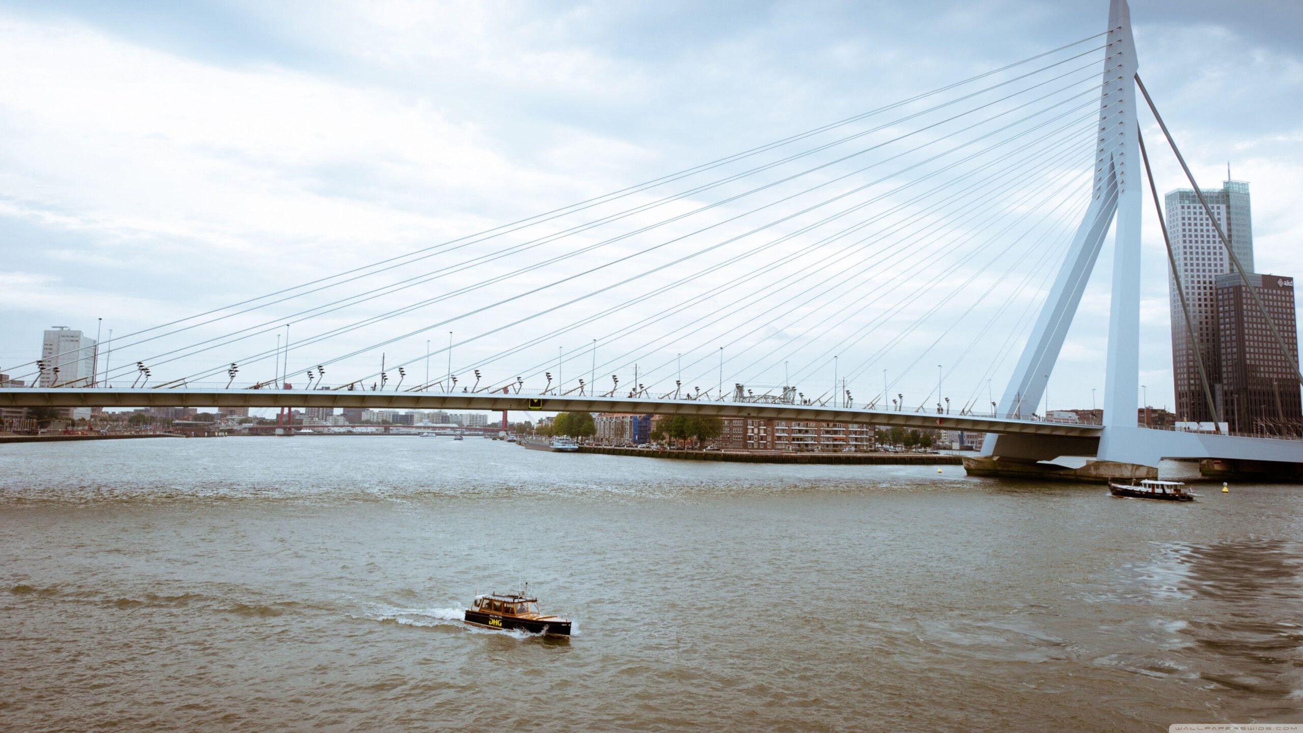 Erasmus Bridge, Rotterdam, Netherlands ❤ K 2K Desk 4K Wallpapers