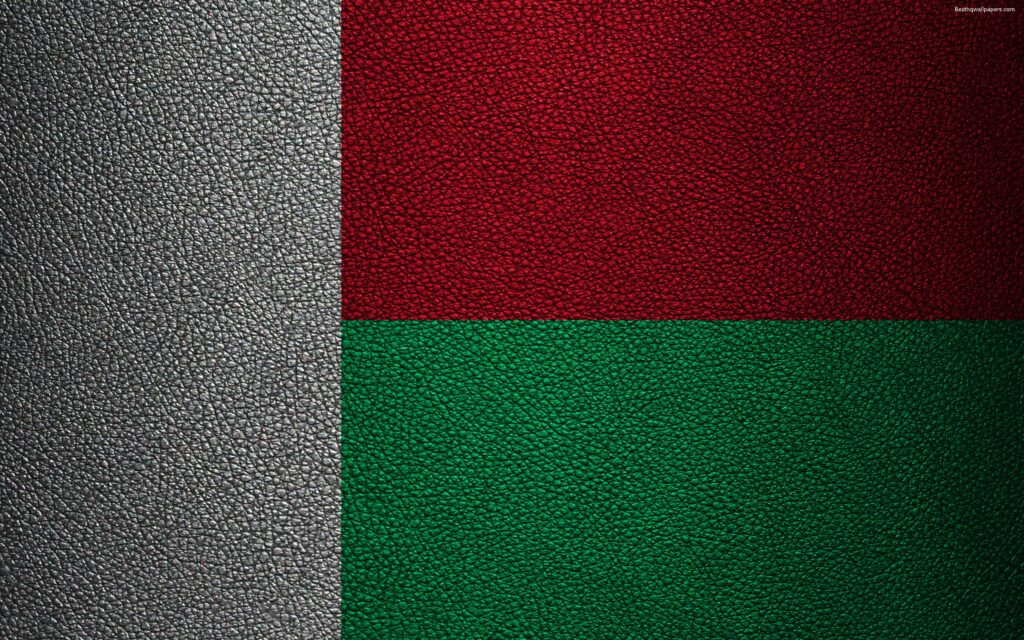 Download wallpapers Flag of Madagascar, k, leather texture, Africa