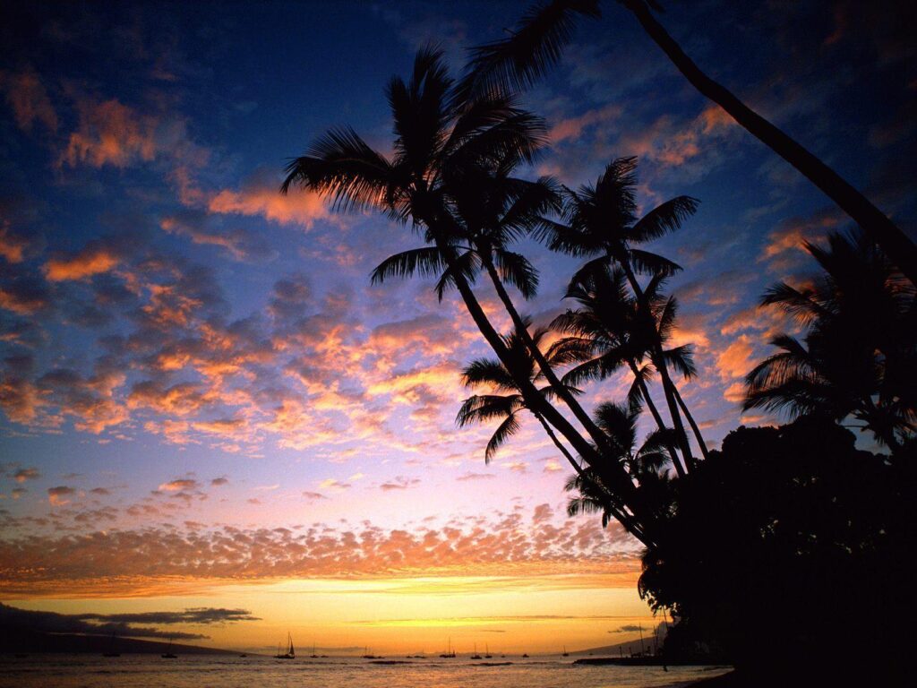 Wallpapers For – Hawaiian Sunset Backgrounds