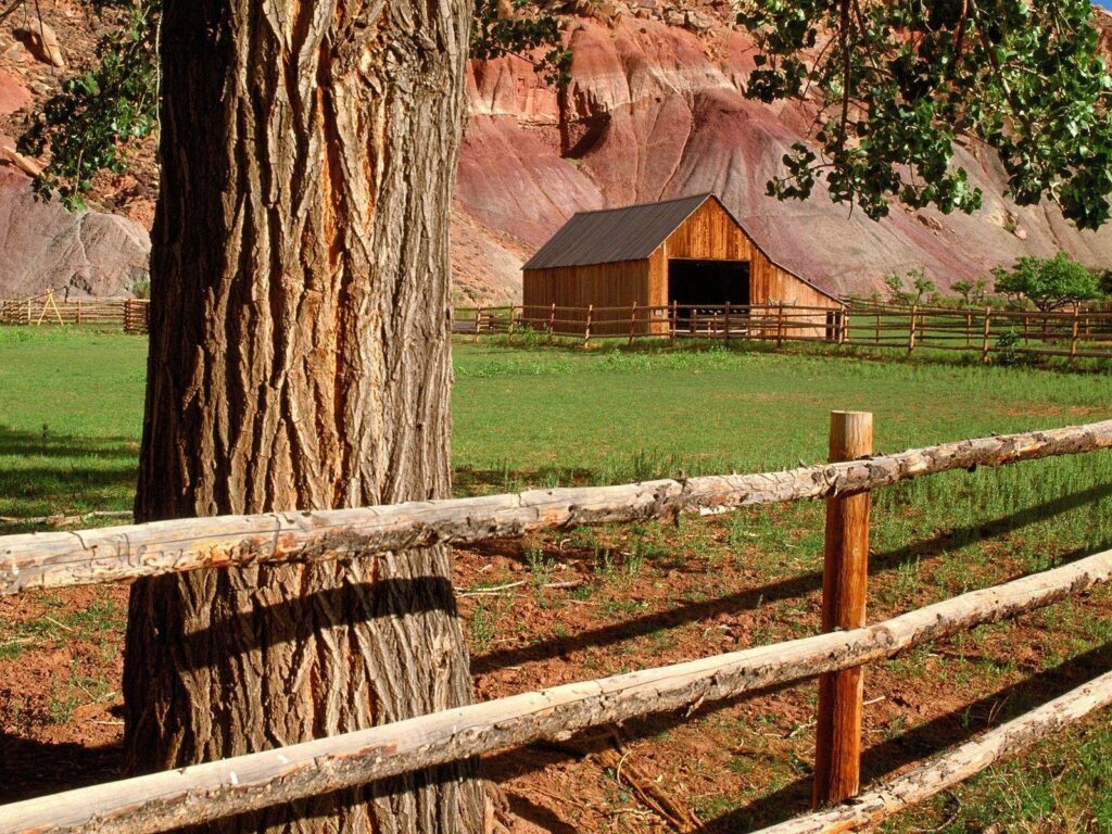 Houses Cottage Meadow Fruita Barn Capitol Reef National Park Utah