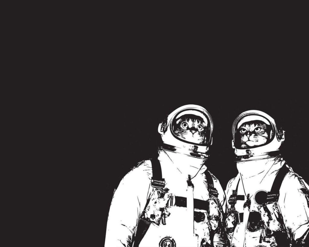 Download Coolest Astronaut Cat Wallpapers