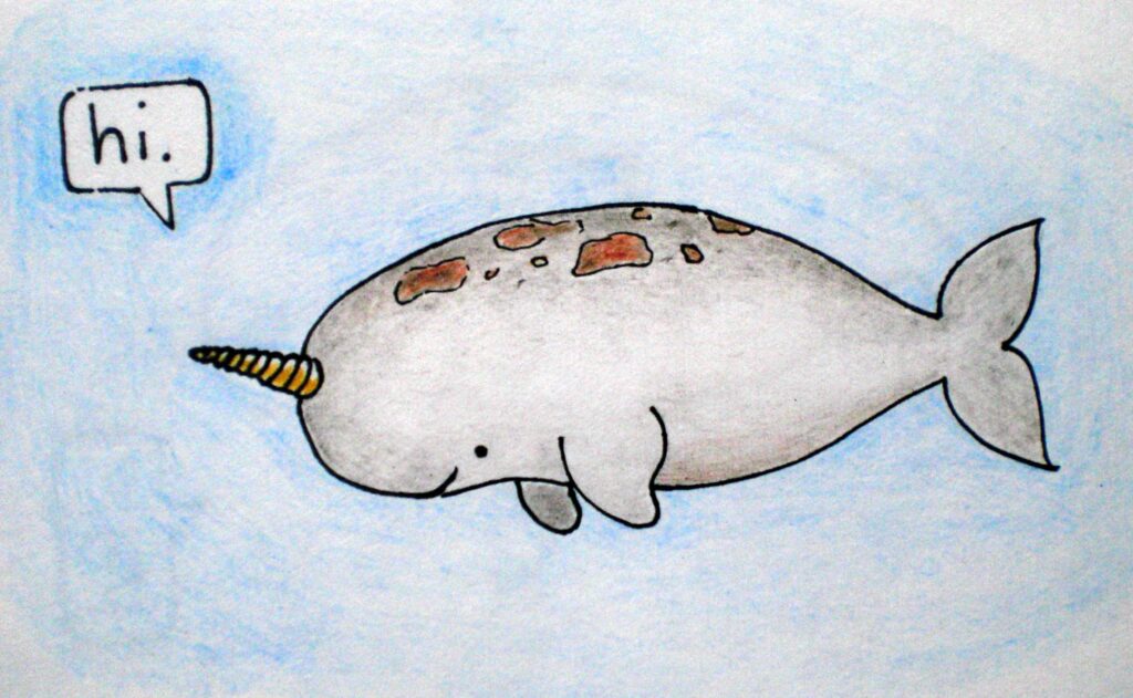 Narwhal Wallpapers