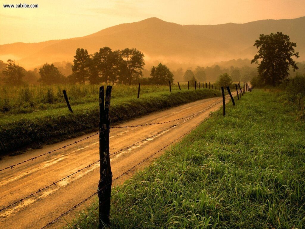 Nature Sparks Lane At Sunset Cades Cove Great Smoky Mountains