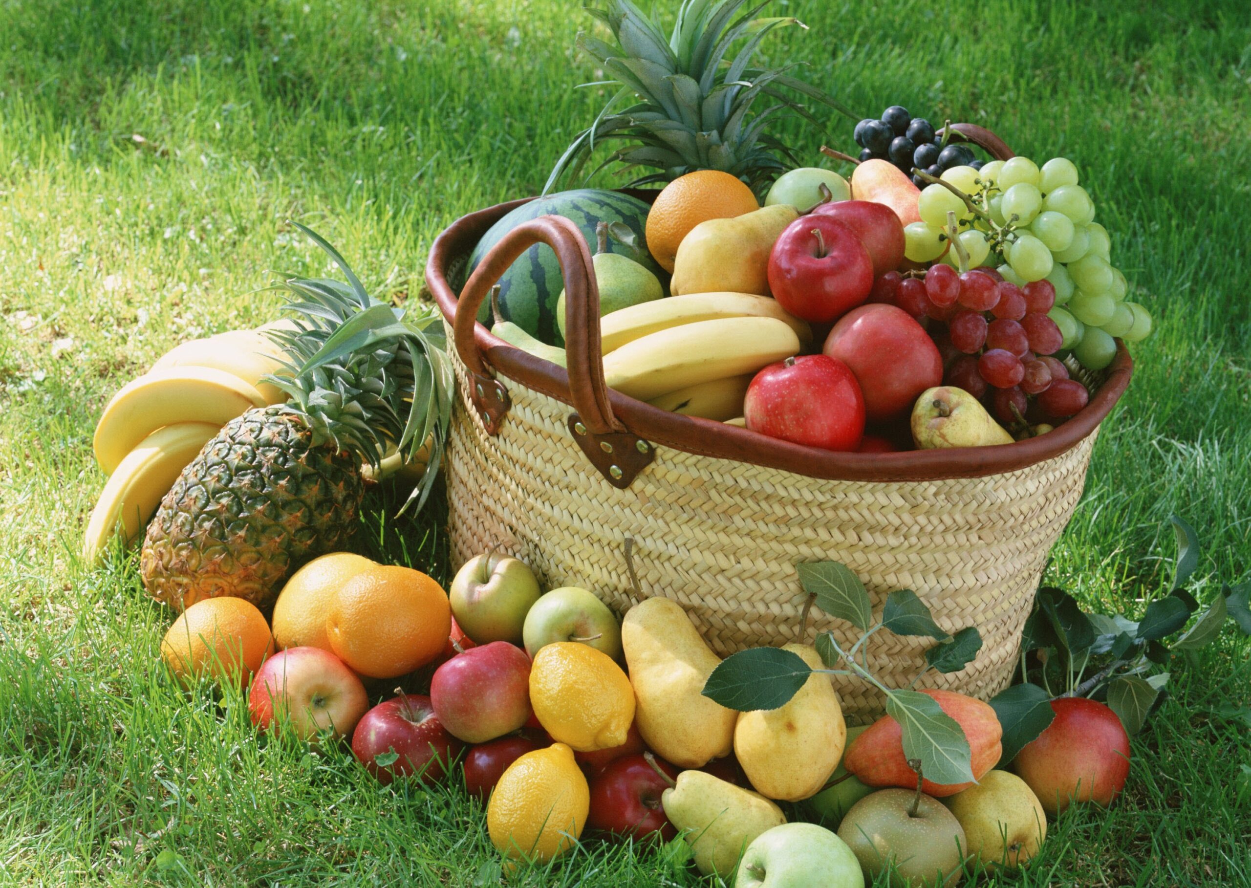 Fruit Basket 2K Wallpapers