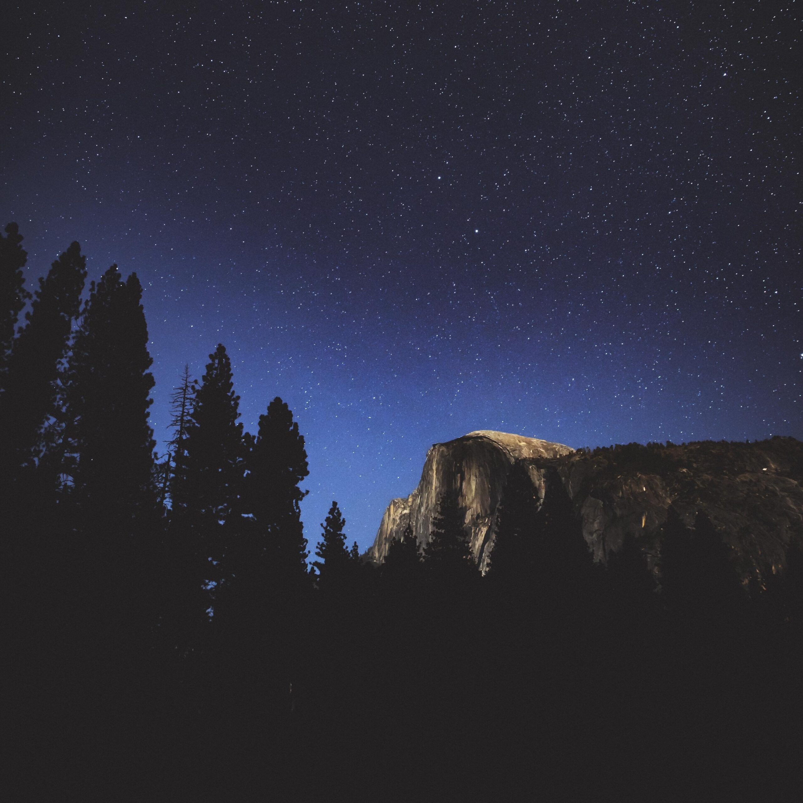 Download wallpapers night, trees, mountains, stars, forest