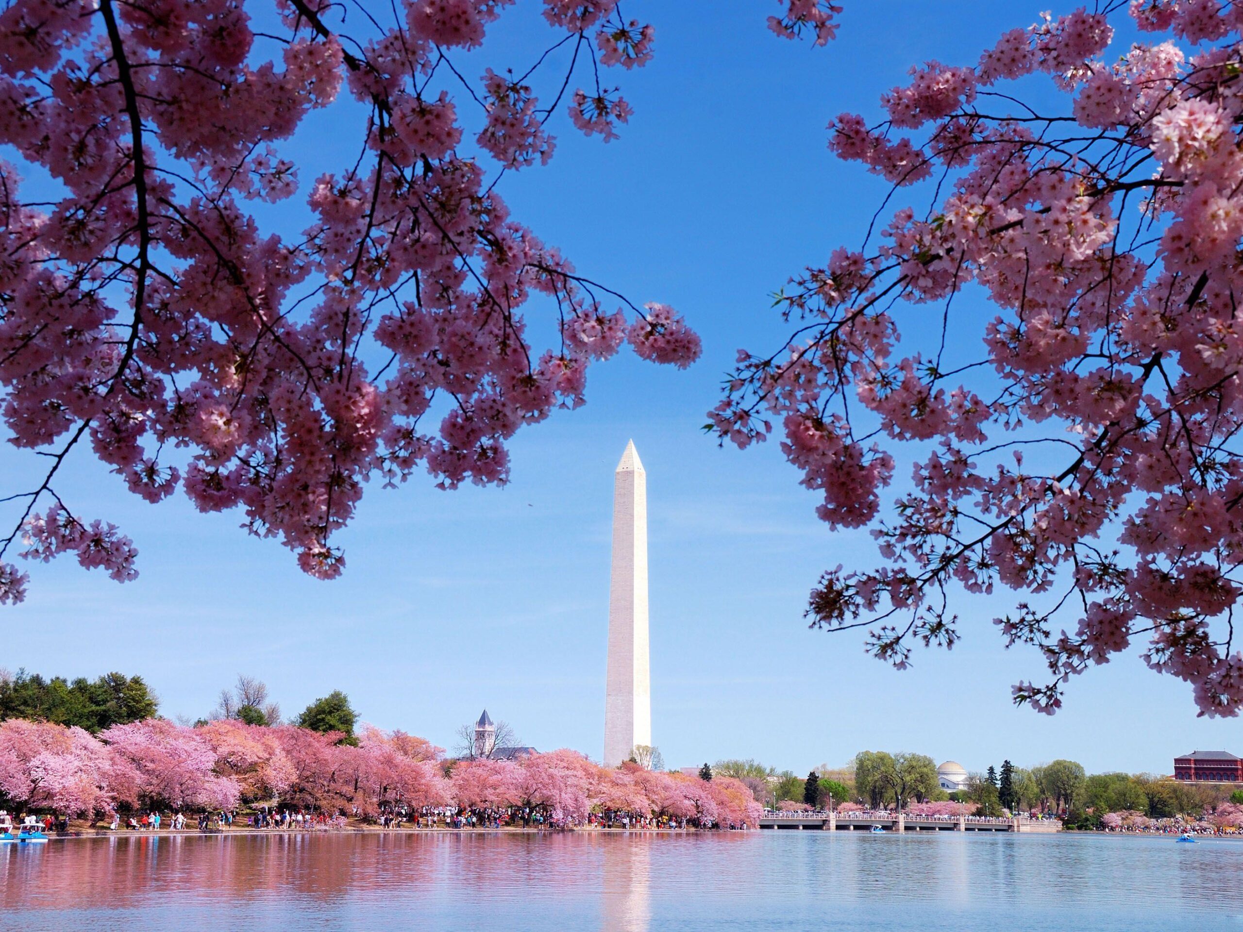 Wallpapers Of The Day Washington DC Monuments