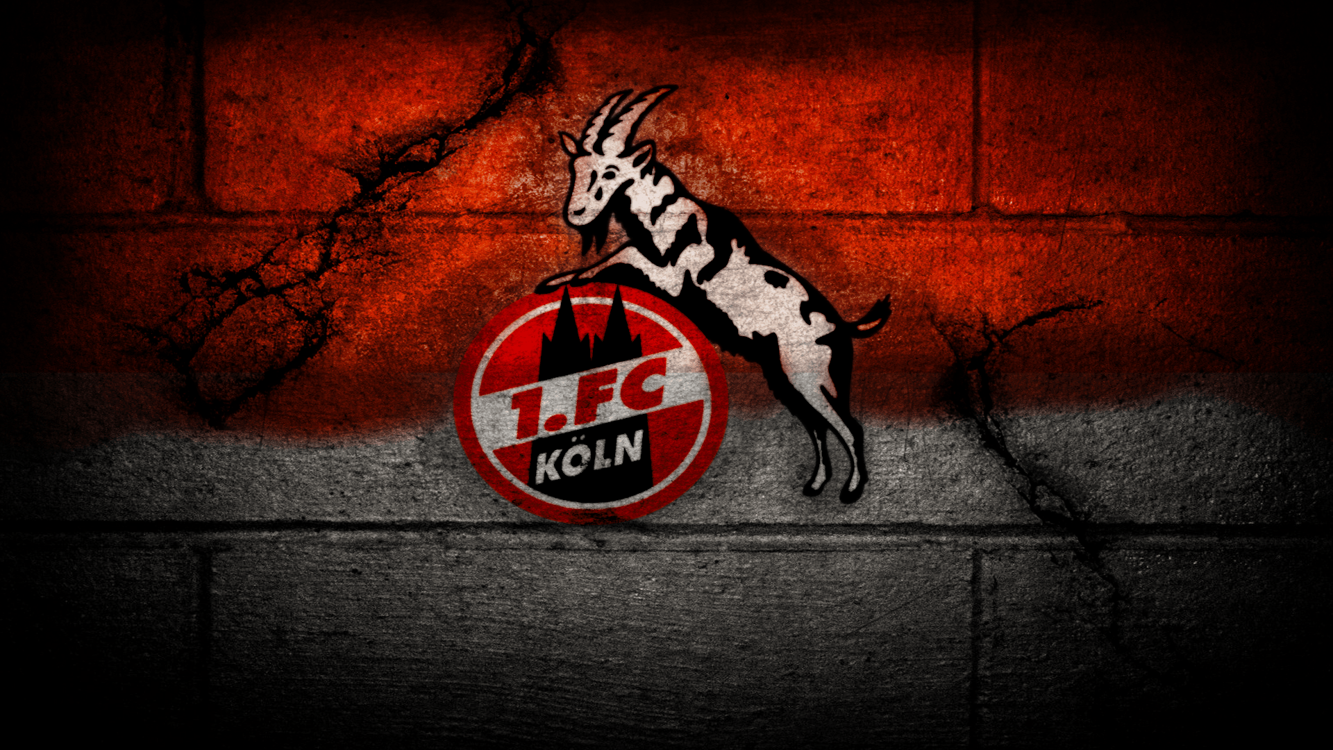 Download FC Cologne Logo Wallpapers Sport 2K Picture Free Download