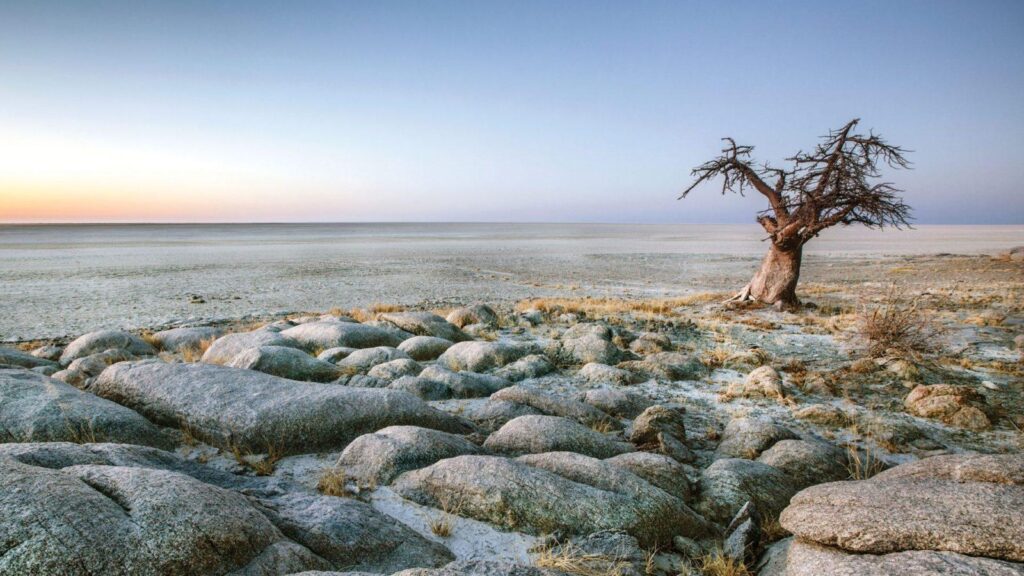 Makgadikgadi Pans