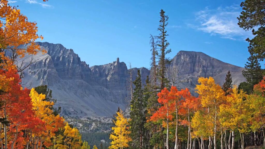 Great Basin National Park