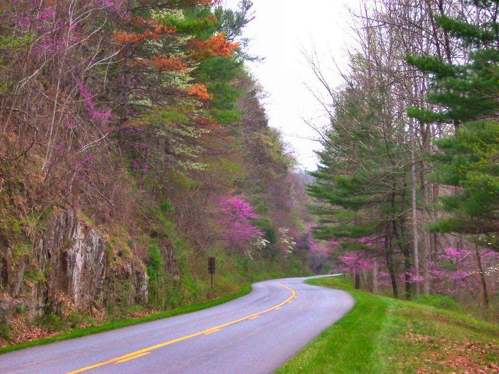Blue Ridge Gazette Spring on the Blue Ridge Parkway of Virginia