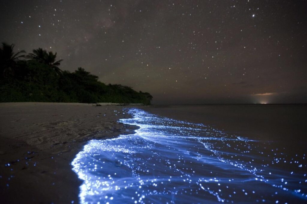 The Glittering Sea of Stars – Vaadhoo