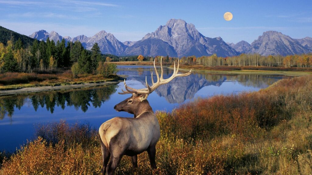 Mountains landscapes moon wyoming lakes elk wallpapers