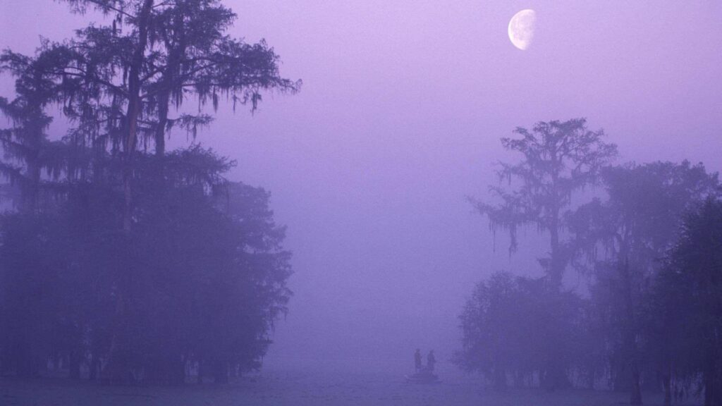 Bayou Tag wallpapers Louisiana Hole Bayou Secret Mist Fishemen