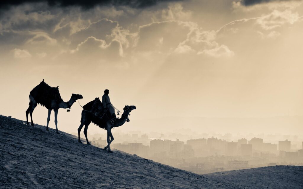 Arab People Camels, 2K World, k Wallpapers, Wallpaper