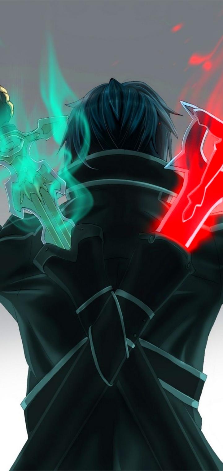 Anime|Sword Art Online