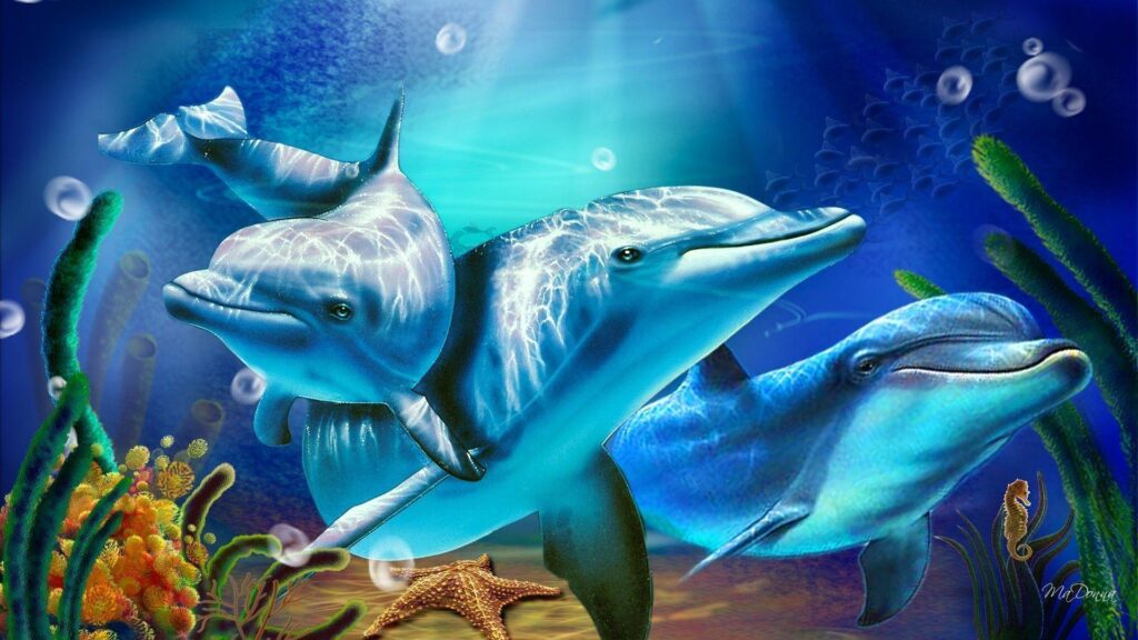 Dolphin Wallpapers HD