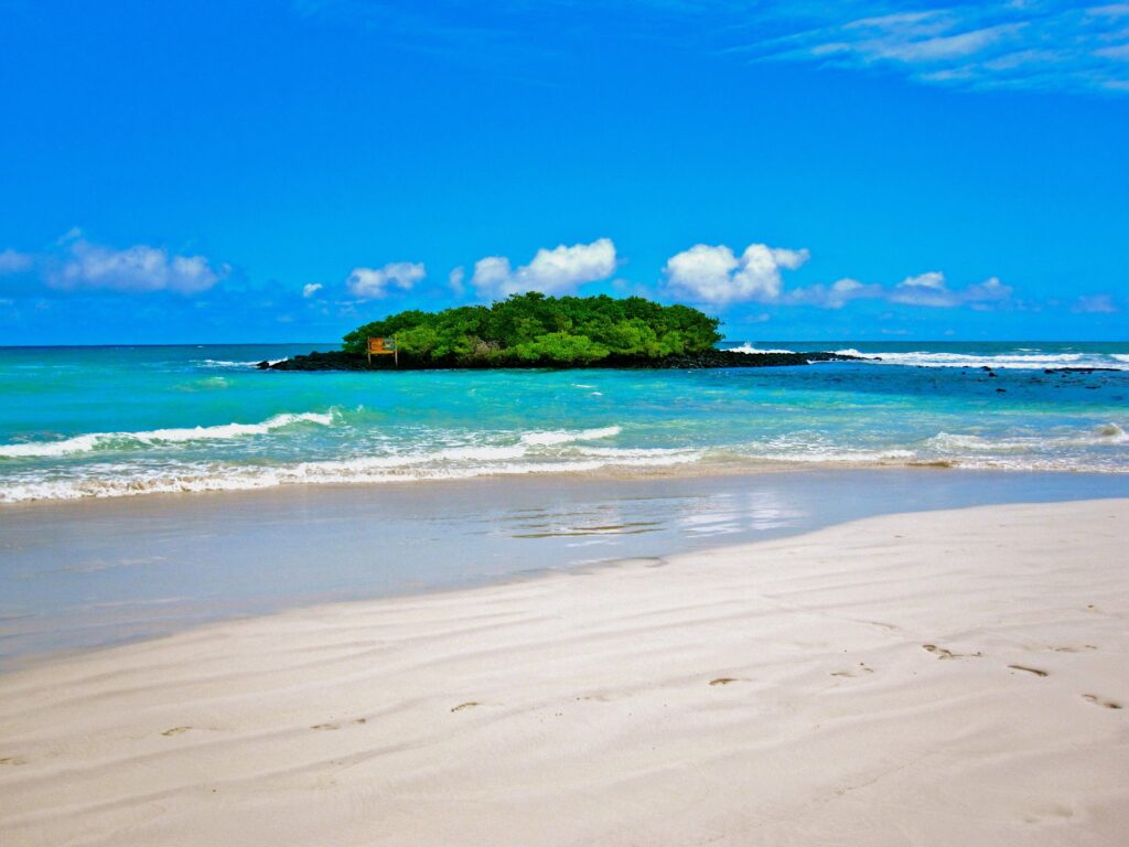 Beach White Calm Blue Green Private Galapagos Islands Beach Ocean