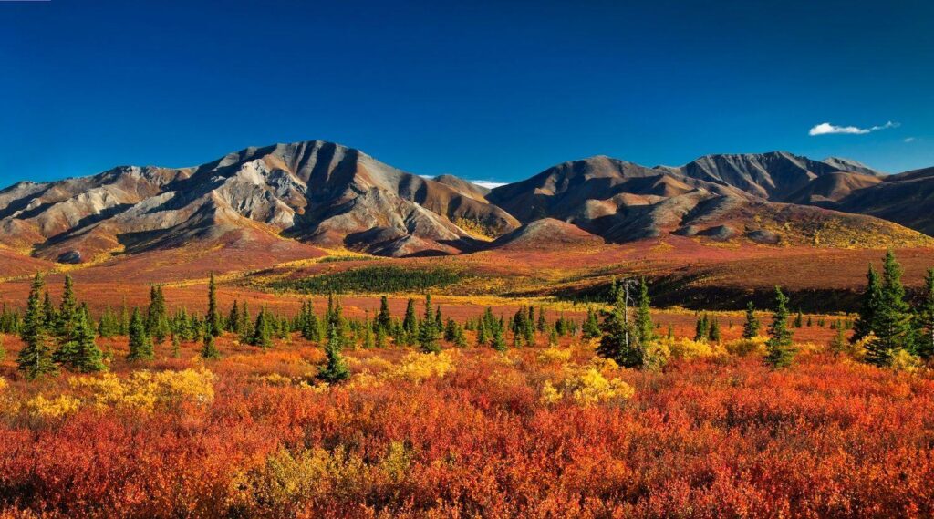 Denali National Park and Preserve, Alaska, USA – Tourist Destinations