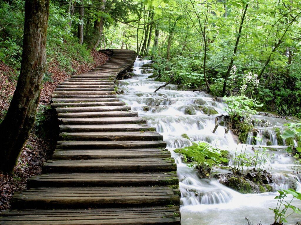 Croatia’s Plitvice Lakes, lakes in the mountains covered with
