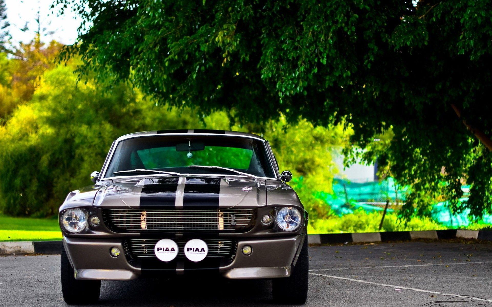 Cars Elanor Ford Mustang Shelby GT Wallpapers