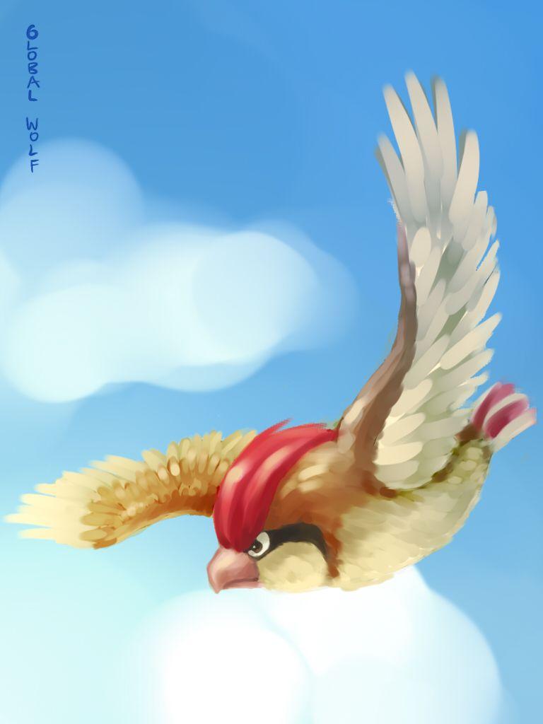 Pidgeotto by global