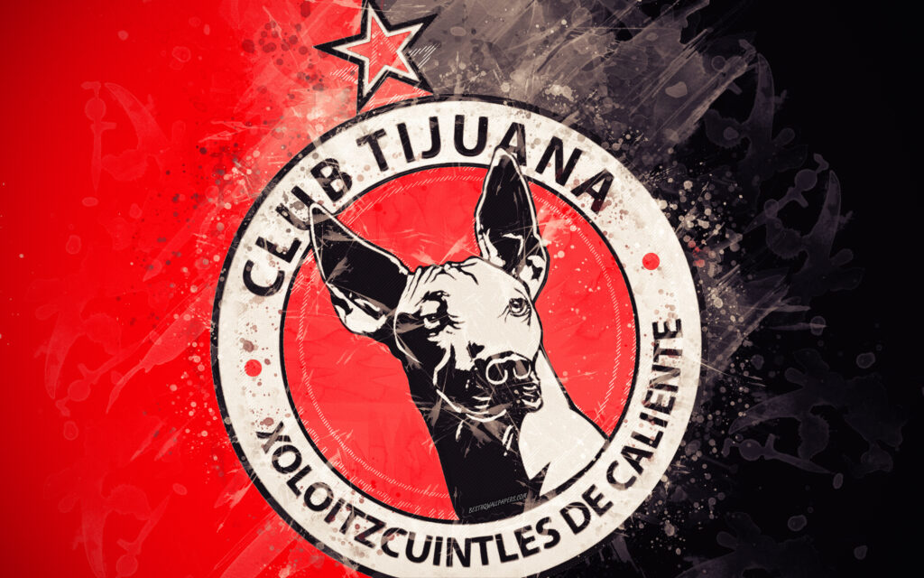Download wallpapers Club Tijuana, k, paint art, creative, Mexican