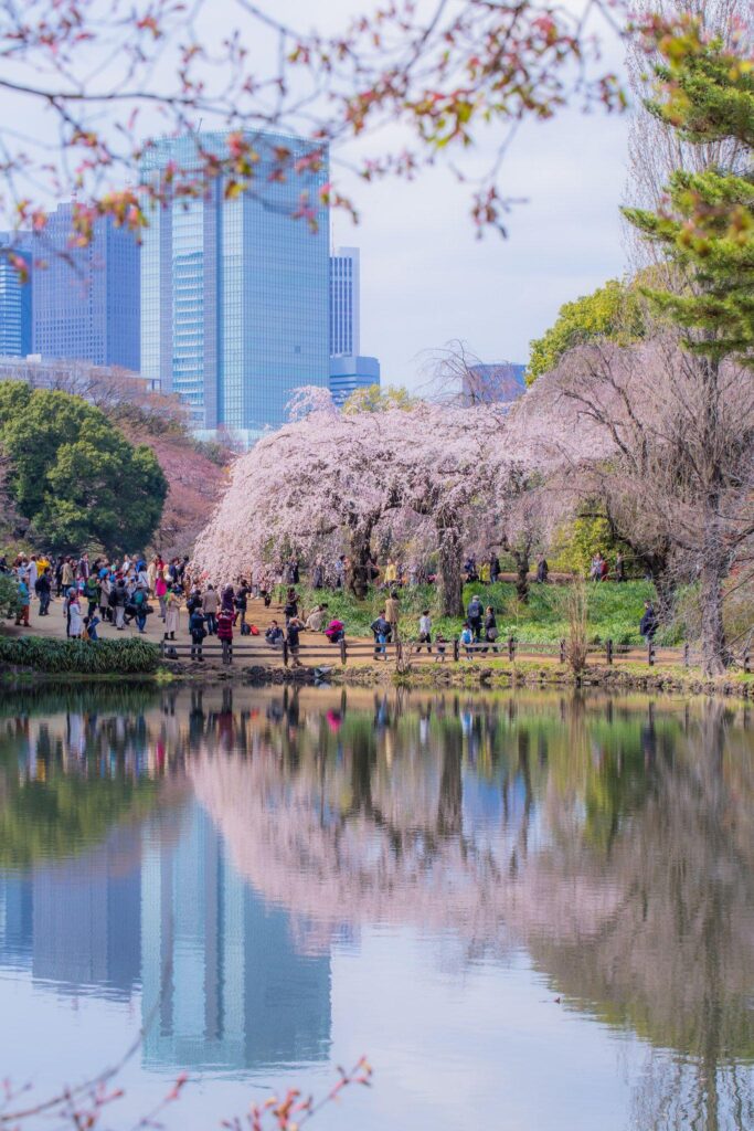 Shinjuku Gyoen National Garden Shinjiku Tokyo Photo by