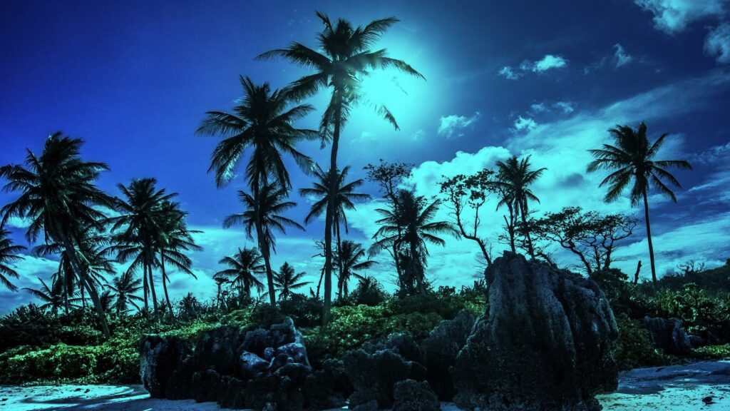 Sky Paradisiac Palms Shadows Tropical Beach Nauru Moonlights Night