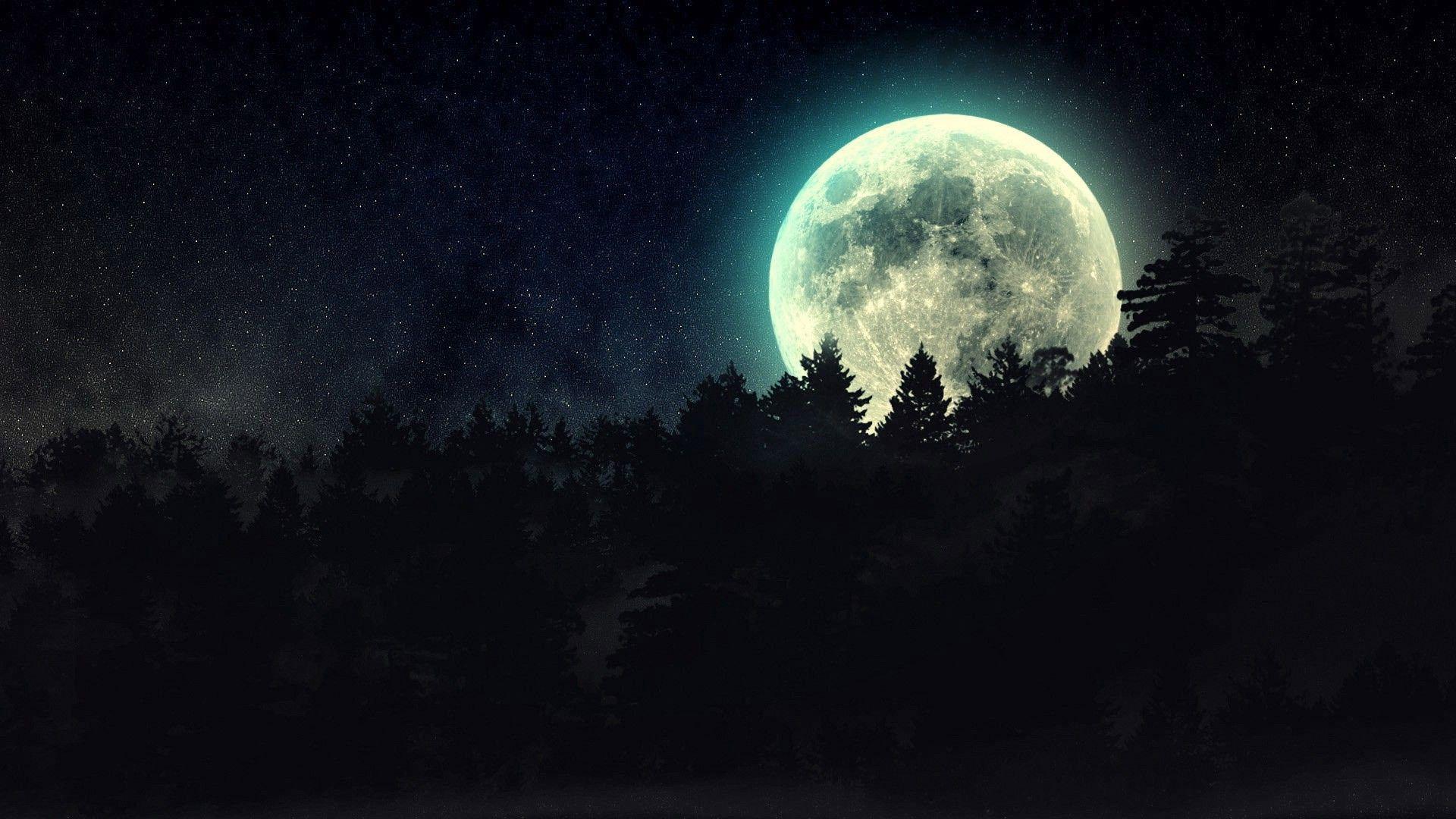 Full moon beyond the pines wallpapers