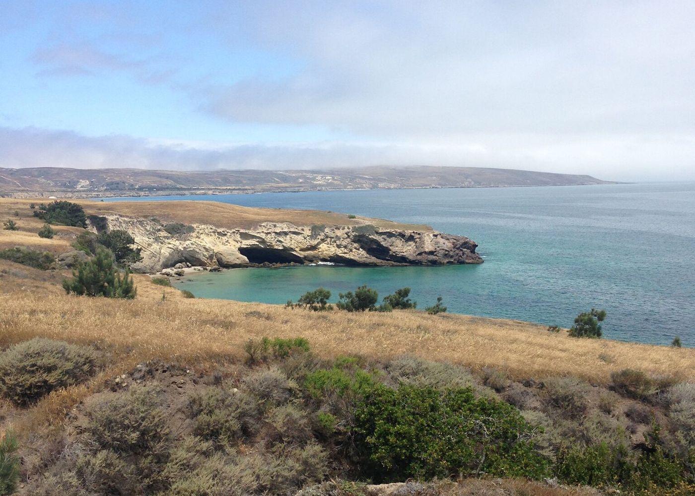 Volunteer Vacation at Channel Island, California – Sierra Club