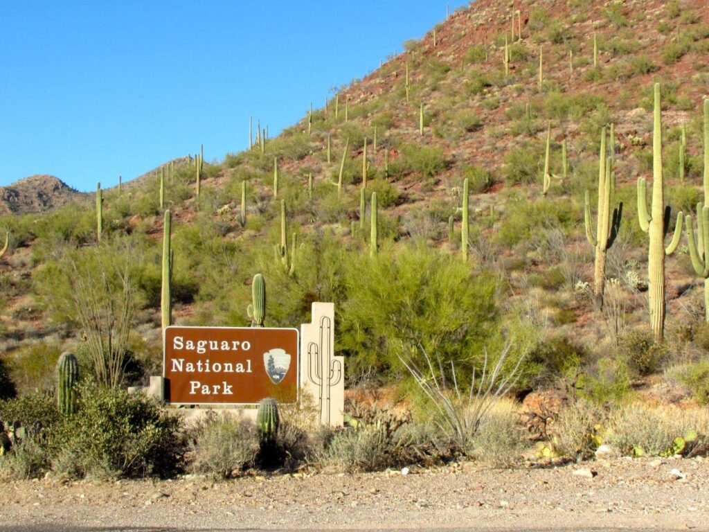 A Simple Solution To Saguaro National Park