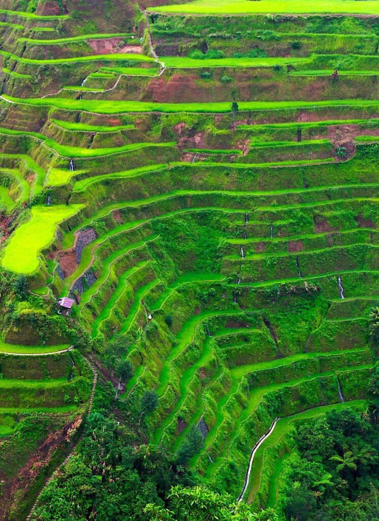 The rice terrace fields of Banaue country the Philippines place