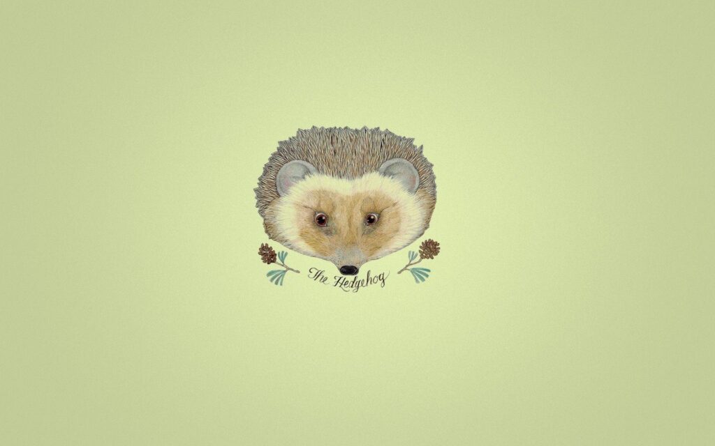 Hedgehog Pictures, 4K on REuuN Wallpapers