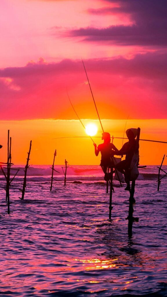 Sri Lanka landscape