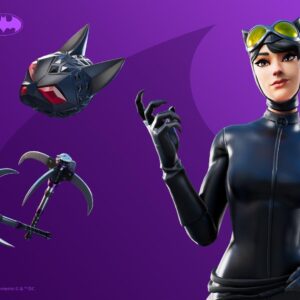 Catwoman Comic Book Outfit Fortnite