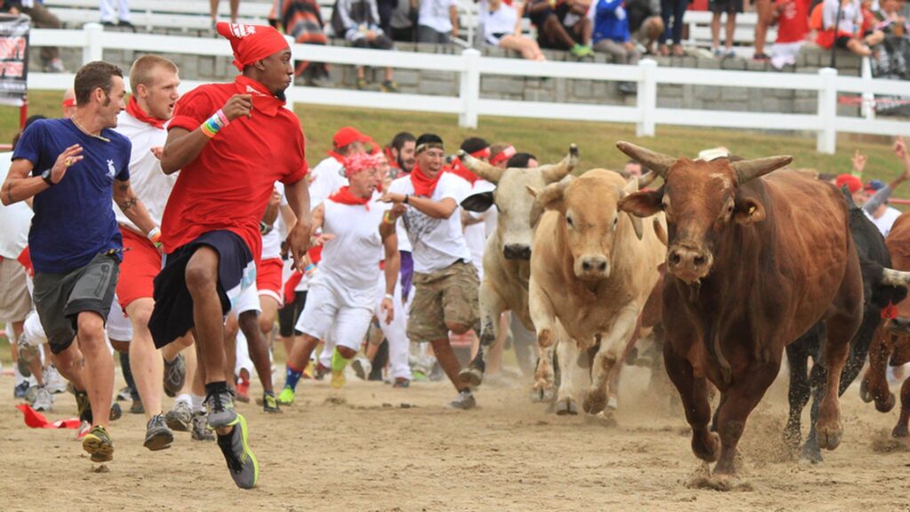 Running of the Bulls… in Minnesota?