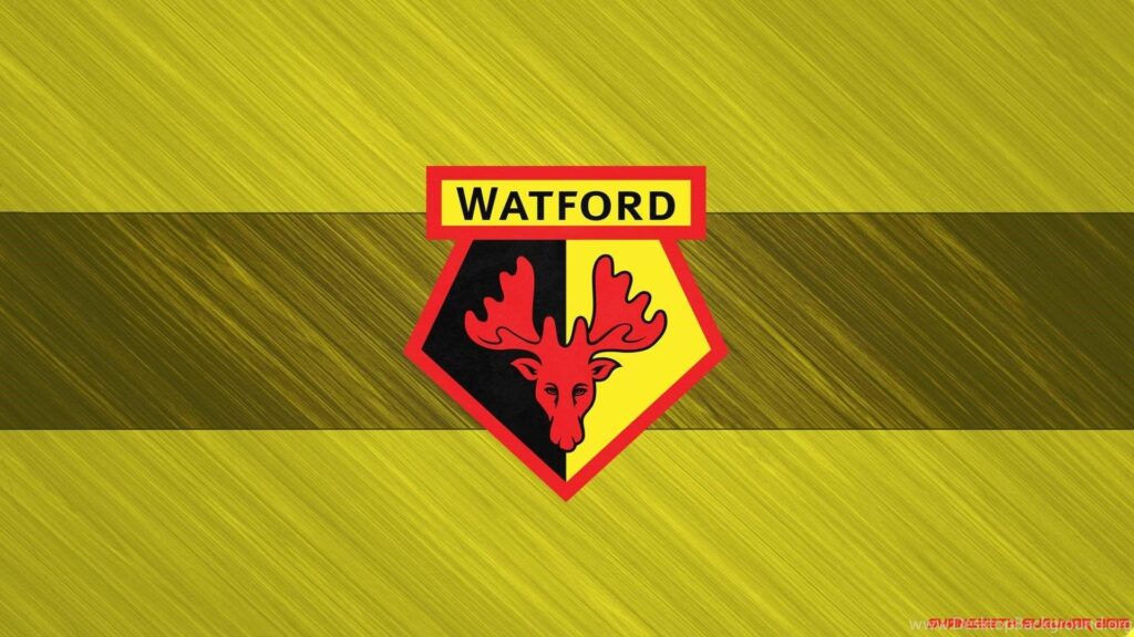 Watford FC Wallpapers And Windows Theme Desk 4K Backgrounds