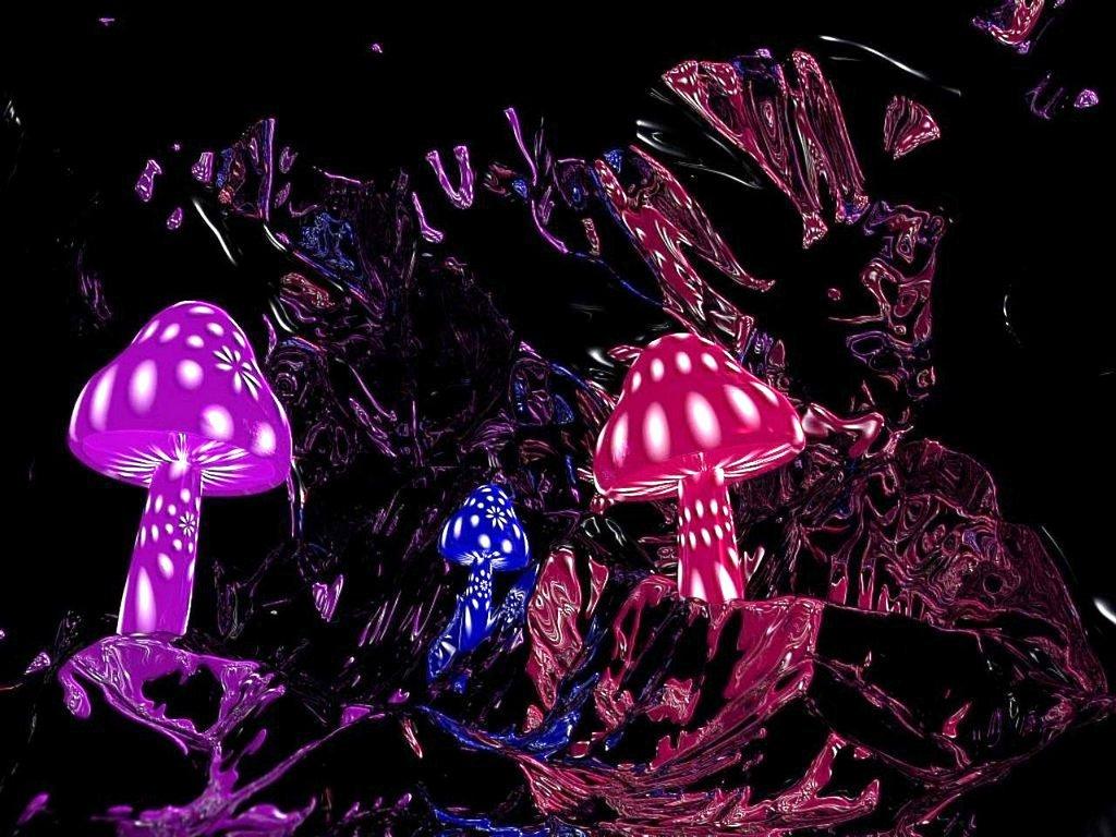 Magic Mushroom Wallpapers