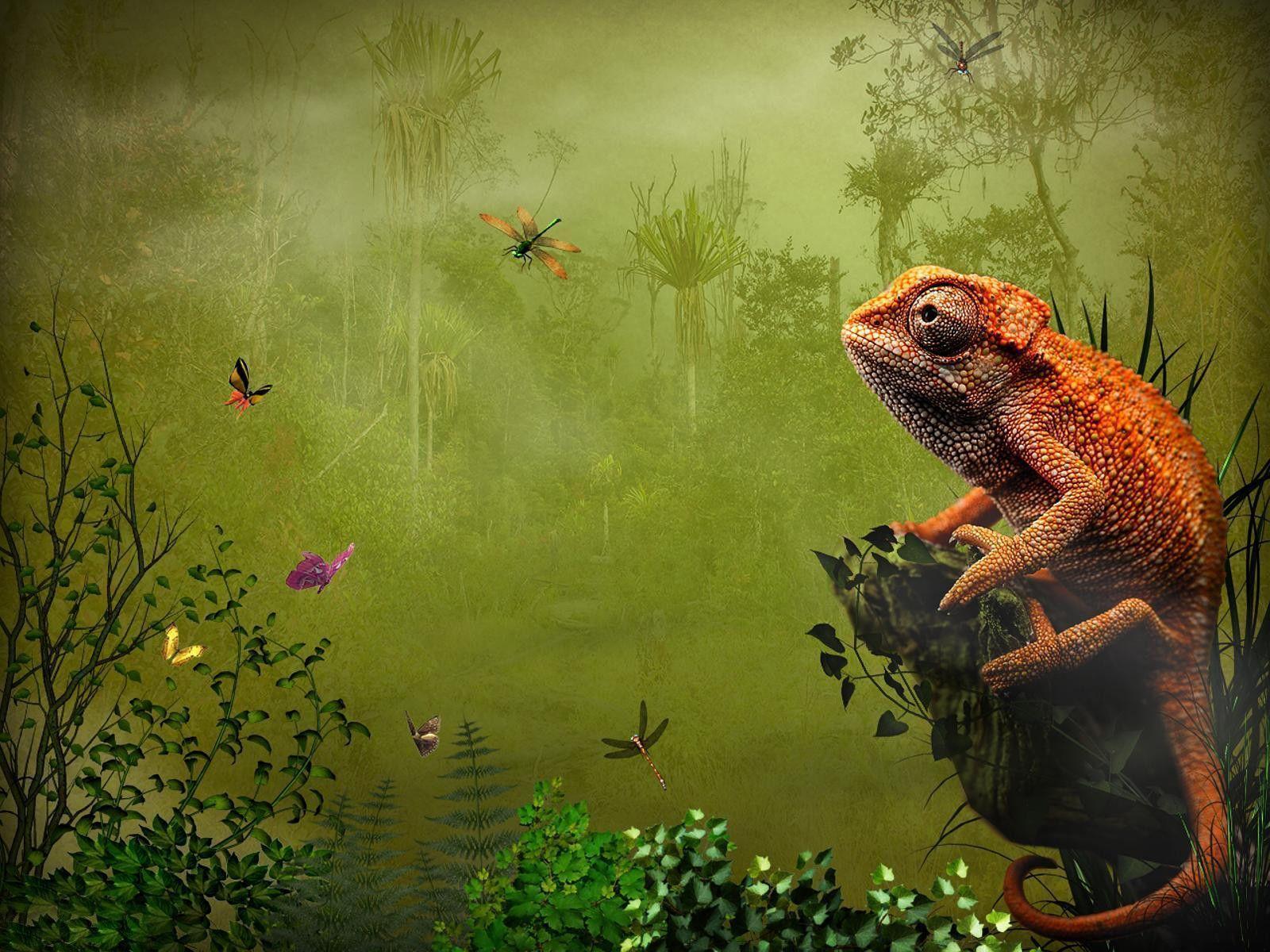 Pix For – Lizard Wallpapers