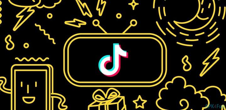 You could now read more about Tik Tok app, review app permissions or choose a server to download it