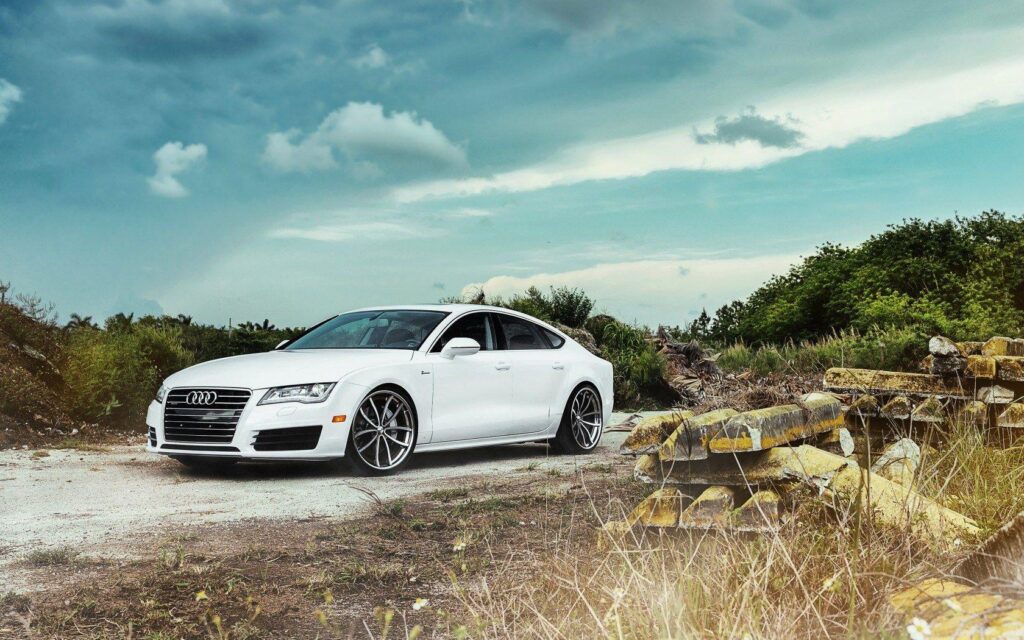 Audi a white road nature