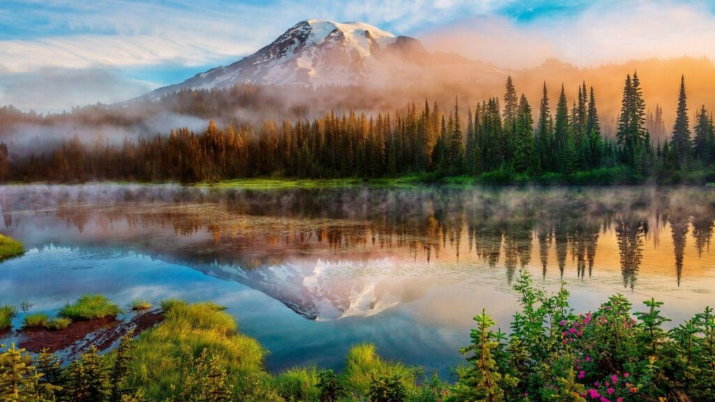 Mount Rainier National Park Trails Desk 4K Wallpapers 2K Widescreen