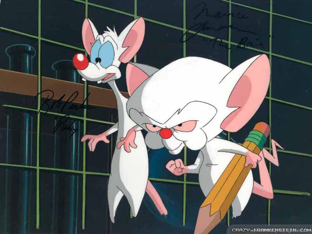 Pinky And The Brain Wallpapers Crazy Frankenstein Desk 4K Backgrounds